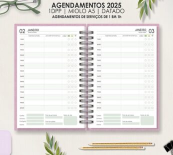 AGENDAMENTOS 2025 | COM HORÁRIOS | 1 em 1h