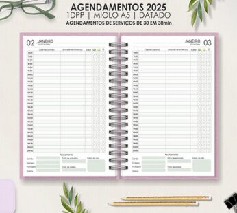 AGENDAMENTOS 2025 | COM HORÁRIOS | 30 em 30min