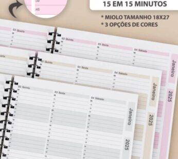 Arquivo Kit Agendamento Semanal 2025 de 15 em 15 minutos em 3 Cores