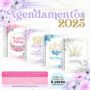 Coleção Digital Agendamentos 2025